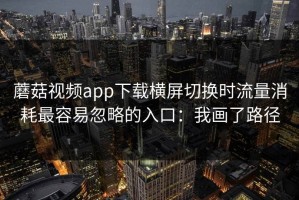 蘑菇视频app下载横屏切换时流量消耗最容易忽略的入口：我画了路径