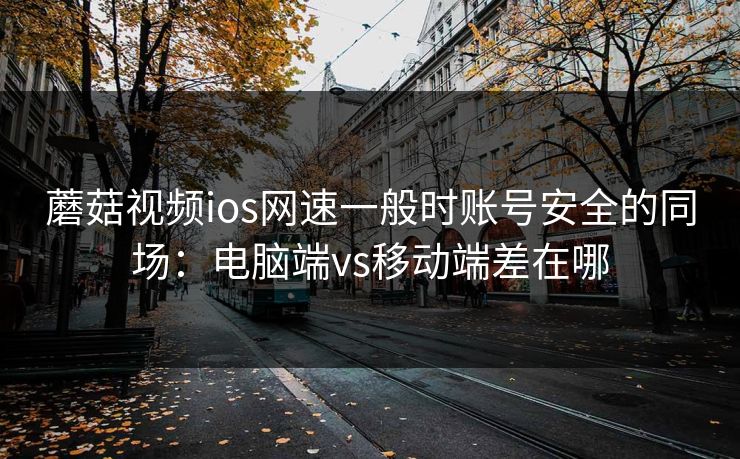 蘑菇视频ios网速一般时账号安全的同场：电脑端vs移动端差在哪
